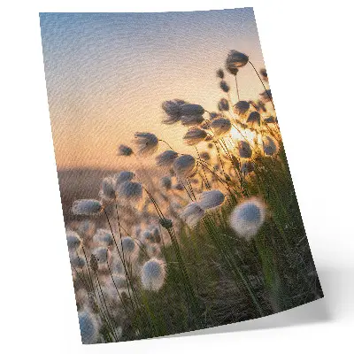 Eleganten plakat za dnevno sobo trave ob sončnem zahodu v toplih barvah