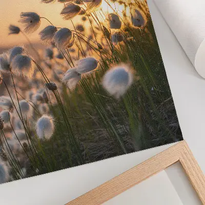 Eleganten plakat za dnevno sobo trave ob sončnem zahodu v toplih barvah