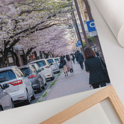 Premium stenski plakat Ulica s češnjevimi cvetovi in ​​parkiranimi avtomobili