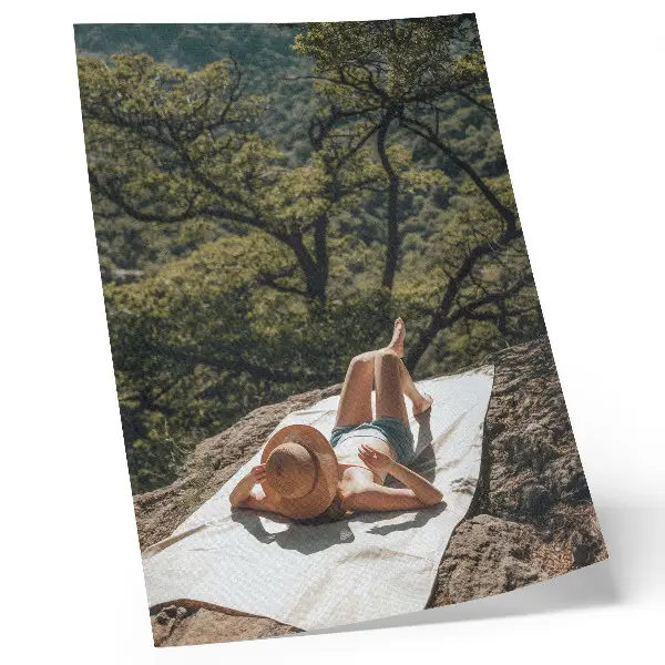 Eleganten plakat za dnevno sobo sproščanje na skali obkroženo z zelenimi drevesi v naravi