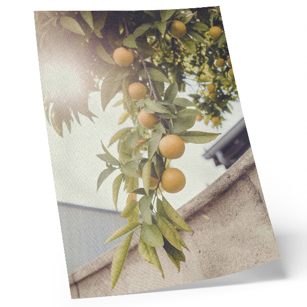 Plakat Drevesna veja sonce zelena listi oranžna