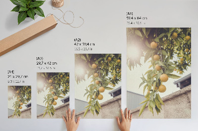 Plakat Drevesna veja sonce zelena listi oranžna