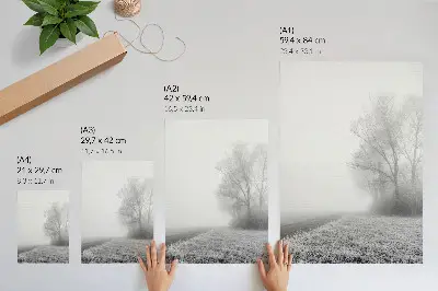 Plakat nežna megla z drevesi v zimski pokrajini za mirno vzdušje