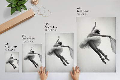 Premium stenski plakat Balerina v gibanju z gracioznostjo in lahkotnostjo