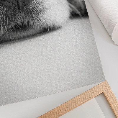 Eleganten plakat za dnevno sobo Črno-bela tekstura psa od blizu, minimalizem
