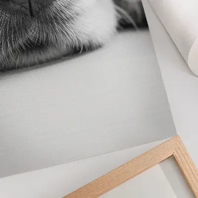 Eleganten plakat za dnevno sobo minimalistična črno-bela fotografija pasjega kožuha od blizu