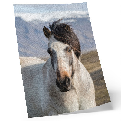 Premium stenski plakat Naravna lepota konja v ozadju gora, mir, preprostost
