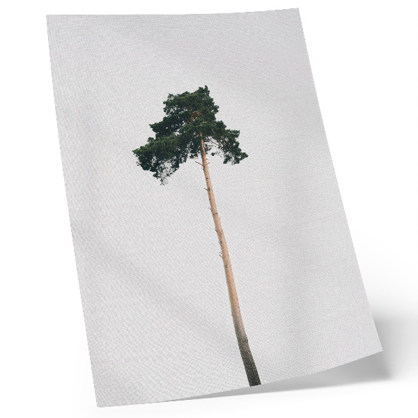 Eleganten plakat za dnevno sobo Osamljeno drevo na svetlem ozadju z minimalizmom