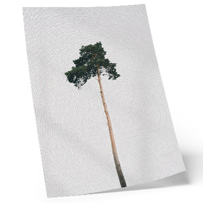 Eleganten plakat za dnevno sobo Osamljeno drevo na svetlem ozadju z minimalizmom