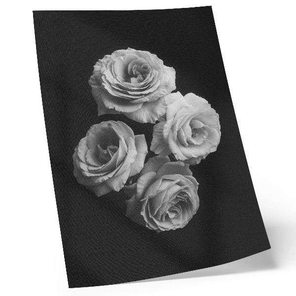 Eleganten plakat za dnevno sobo Črno-bele vrtnice minimalizem klasična eleganca