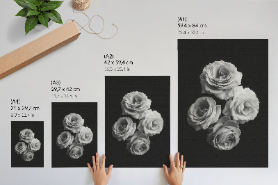 Eleganten plakat za dnevno sobo Črno-bele vrtnice minimalizem klasična eleganca