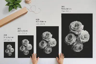Eleganten plakat za dnevno sobo z motivom minimalističnih črno-belih vrtnic v klasičnem slogu