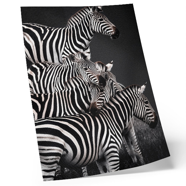 Eleganten plakat za dnevno sobo Zebra v kontrastnih črno-belih navpičnih črtah