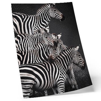 Eleganten plakat za dnevno sobo Zebra v kontrastnih črno-belih navpičnih črtah