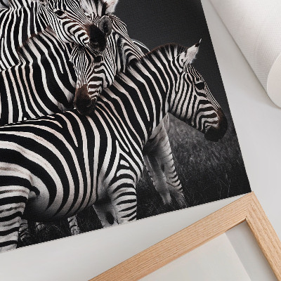 Eleganten plakat za dnevno sobo Zebra v kontrastnih črno-belih navpičnih črtah