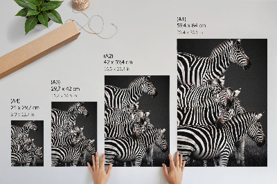 Eleganten plakat za dnevno sobo Zebra v kontrastnih črno-belih navpičnih črtah