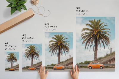 Plakat Palma, retro avto, narava, brezskrbna