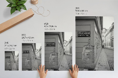 Eleganten plakat za dnevno sobo Fasade starih stavb, arhitekturni detajli