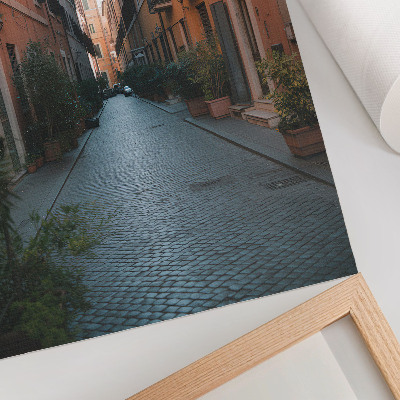 Premium stenski plakat Očarljiva ulica z lončki za rastline in toplimi barvami