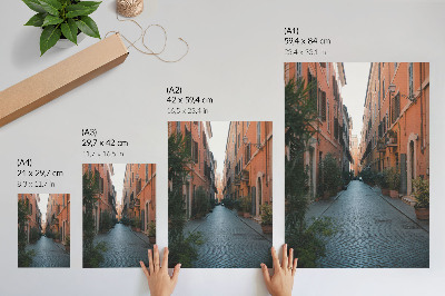 Premium stenski plakat Očarljiva ulica z lončki za rastline in toplimi barvami