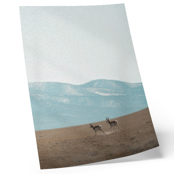 Eleganten plakat za dnevno sobo Antilope v ozadju gora, miren prostor