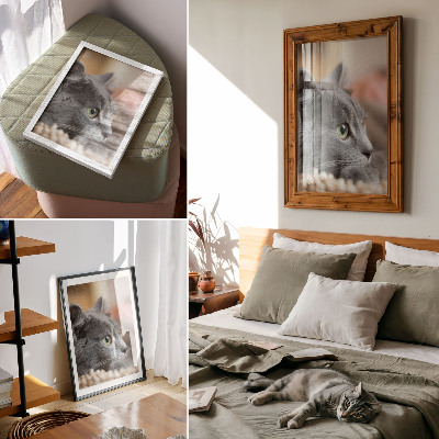 Premium stenski plakat Siva mačka z zelenimi očmi, pogled od blizu