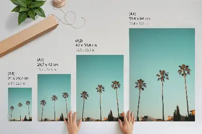 Stenski plakat z motivom palm palme na modrem ozadju za eksotično vzdušje