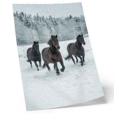 Eleganten plakat za dnevno sobo Črni konji v gibanju na zasneženem ozadju