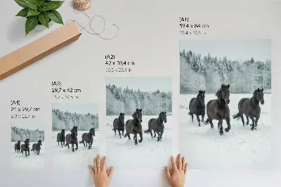 Plakat Črni konji v gibanju na zasneženem ozadju elegantna dekoracija za dnevno sobo