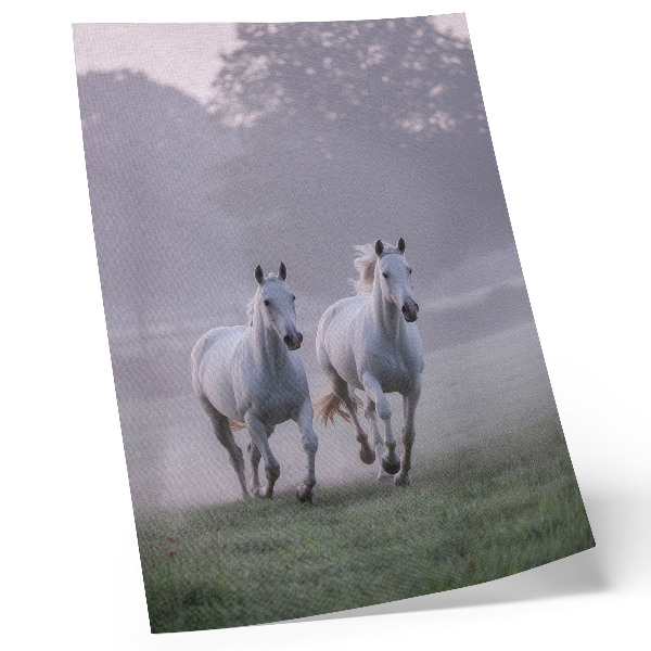 Plakat Beli konji jutranja megla vesoljska narava