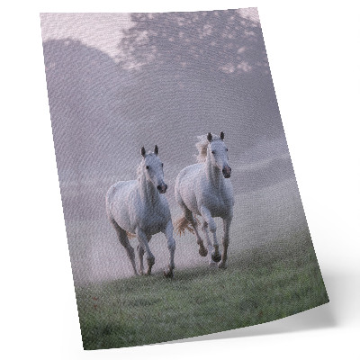 Plakat Beli konji jutranja megla vesoljska narava