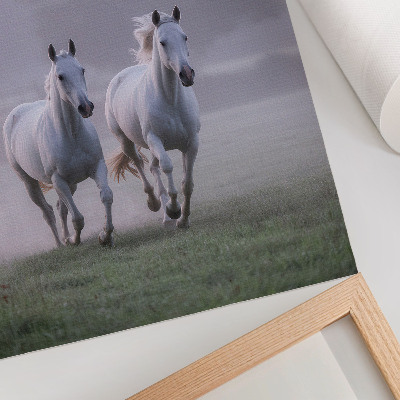 Plakat Beli konji jutranja megla vesoljska narava