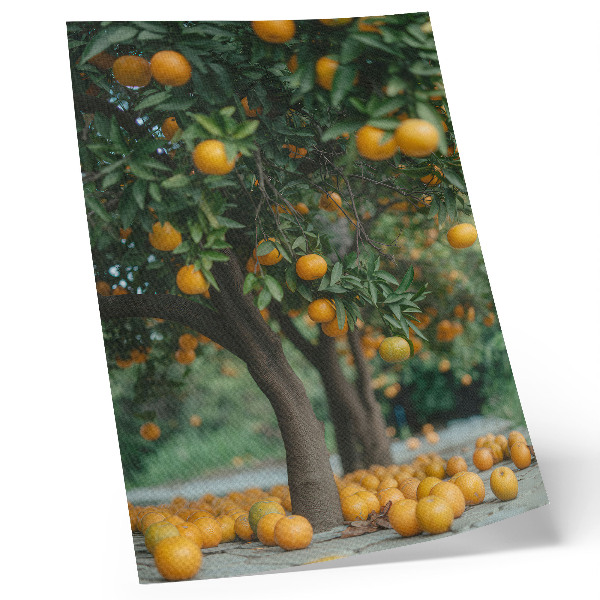 Plakat Sočne pomaranče na drevesu v zelenem sadovnjaku