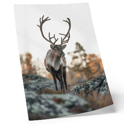Plakat Jelen na ozadju skal in dreves v jesenski pokrajini