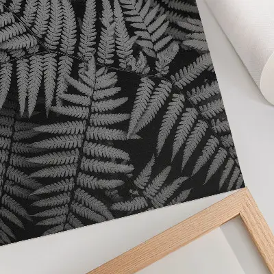 Eleganten plakat za dnevno sobo čutna praprot v črno-beli barvi s pridihom simetrije in elegance