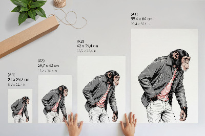 Premium stenski plakat Eleganten šimpanz v kontrastni grafični jakni