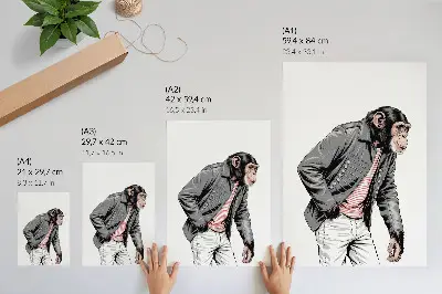 Premium stenski plakat elegantni šimpanz v kontrastni grafični jakni