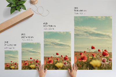 Eleganten plakat za dnevno sobo Polje makov pod modrim nebom, pastelna eleganca