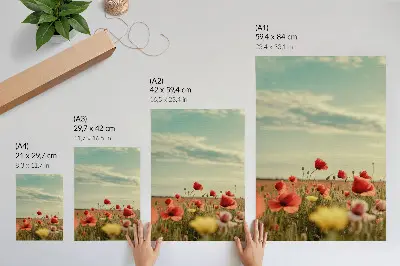 Eleganten plakat za dnevno sobo polje makov pod modrim nebom v pastelnih tonih