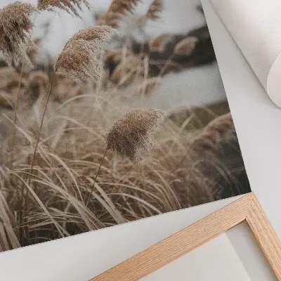 Umetniški tisk na platno nežna travna bilka v rjavo sivih naravnih odtenkih