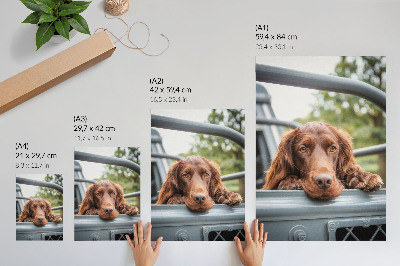 Eleganten plakat za dnevno sobo Rjavi pes ob vozilu zelena drevesa