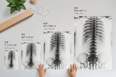 Plakat z motivom okostja elegantna črno-bela različica za dnevno sobo