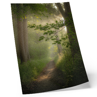 Premium stenski plakat Zeleni listi, snop svetlobe, gozdna pot