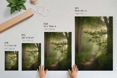 Premium stenski plakat zeleni listi s snopom svetlobe na gozdni poti