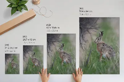 Plakat za dnevno sobo Zajec v travi z zajcem obdanim z vejami in zelenjem