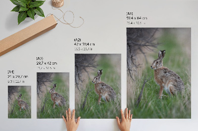Eleganten plakat za dnevno sobo Zajec v travi, obdan z vejami in zelenjem