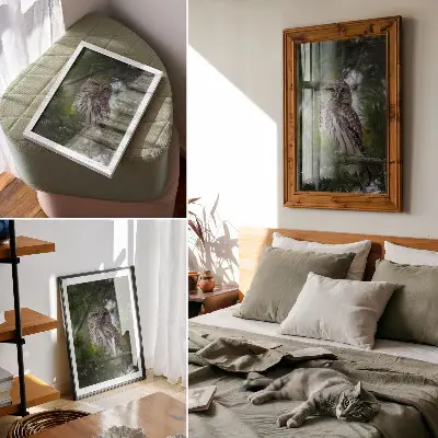 Plakat sova na borovi veji z motivom narave za mir in harmonijo