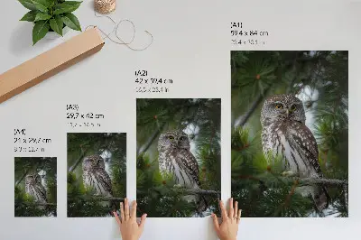 Plakat sova na borovi veji z motivom narave za mir in harmonijo