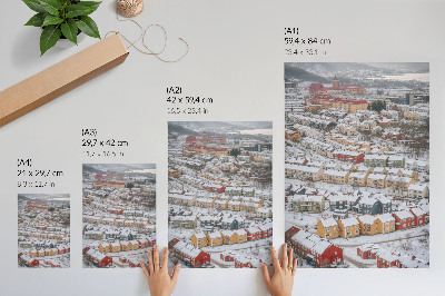 Premium stenski plakat Barvite hiše zimska krajinska arhitektura