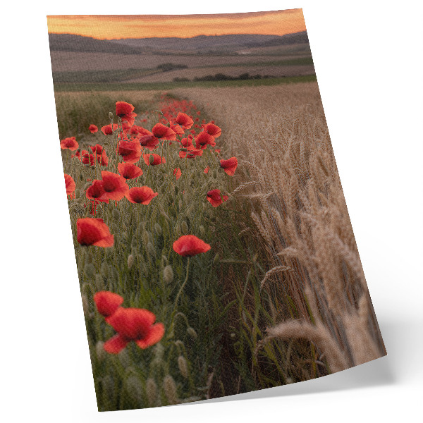 Plakat Maki sončni zahod narava barva harmonija